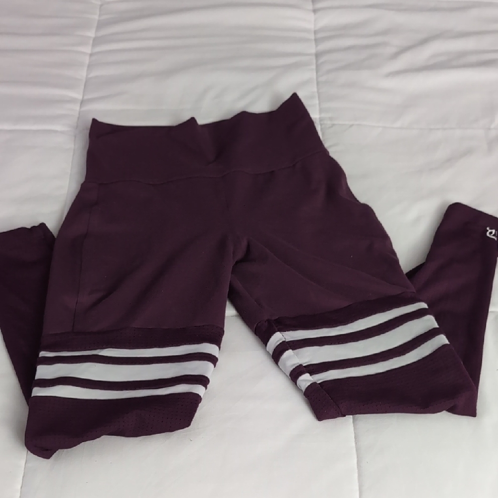 Bombshell Sportswear Plum Leggings with White Stripes